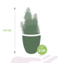 Cactus mix afmetingen